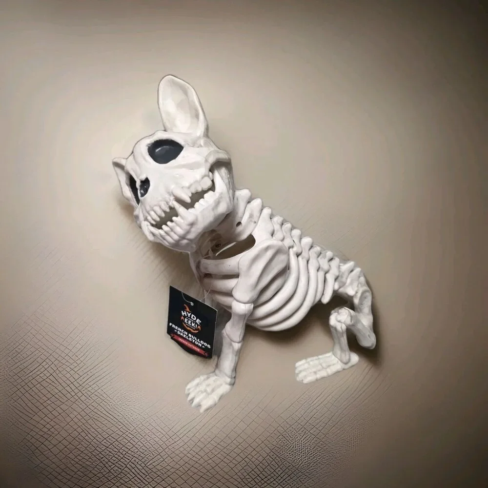 French Bulldog Skeleton Figure HYDE And EEK Spooky NEW NWT